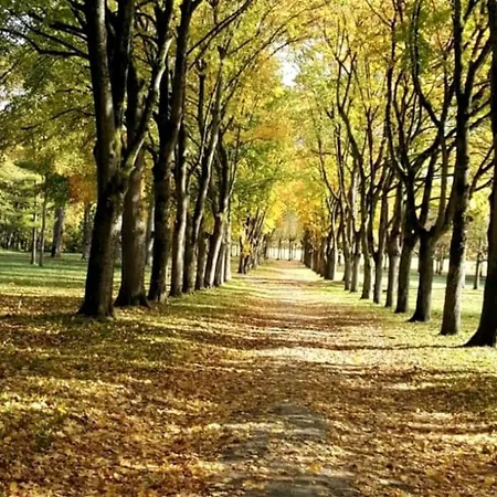 Central, Calme, Proche Chateau Et Insead * Fontainebleau